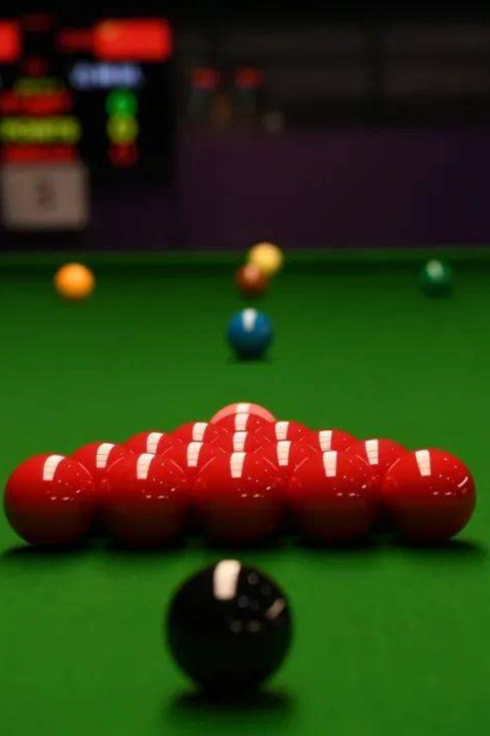 斯诺克德国大师赛半决赛：贾德·特鲁姆普VS阿里·卡特20260201